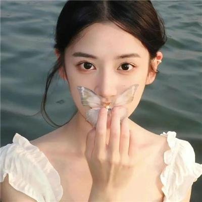 野兔邦妮